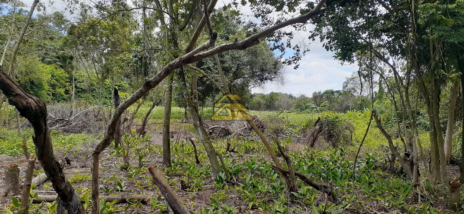 Terreno à venda, 209000m² - Foto 30