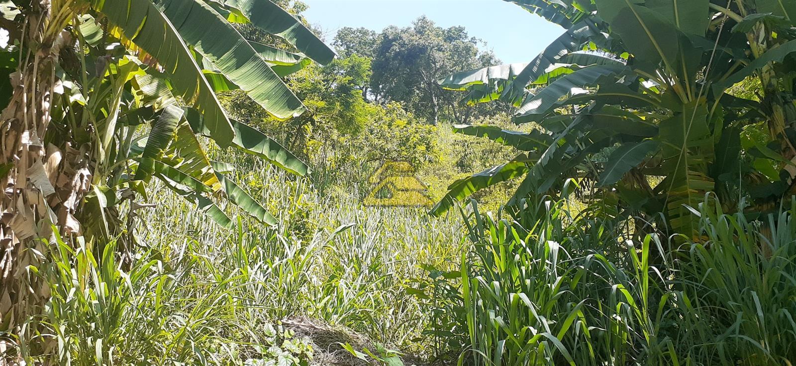 Terreno à venda, 7000m² - Foto 14