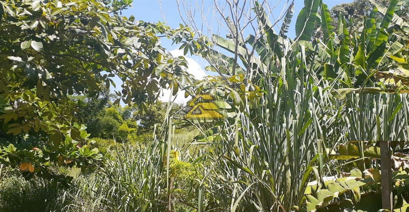 Terreno à venda, 7000m² - Foto 20