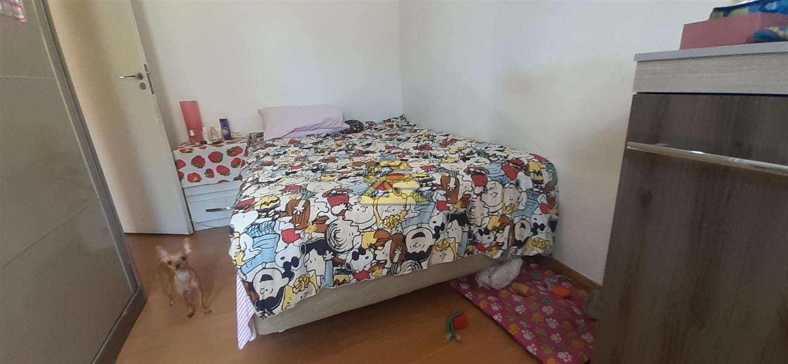 Apartamento à venda com 3 quartos, 62m² - Foto 15