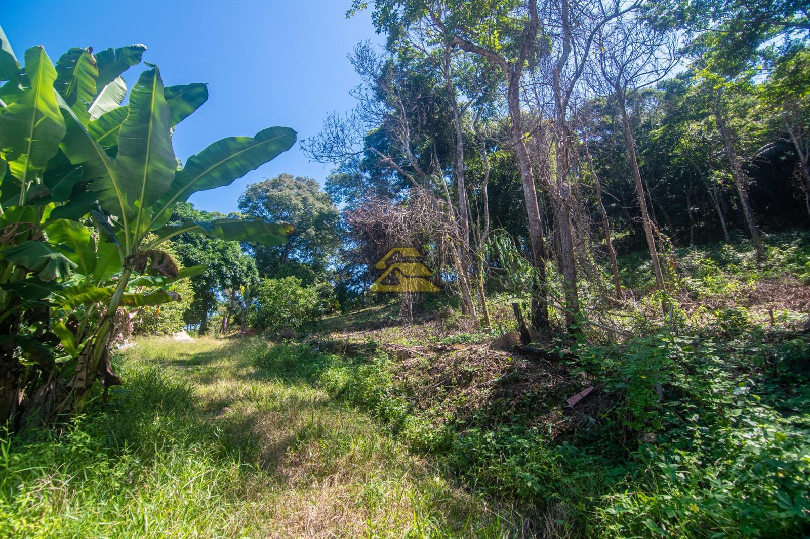 Terreno à venda, 5000m² - Foto 5