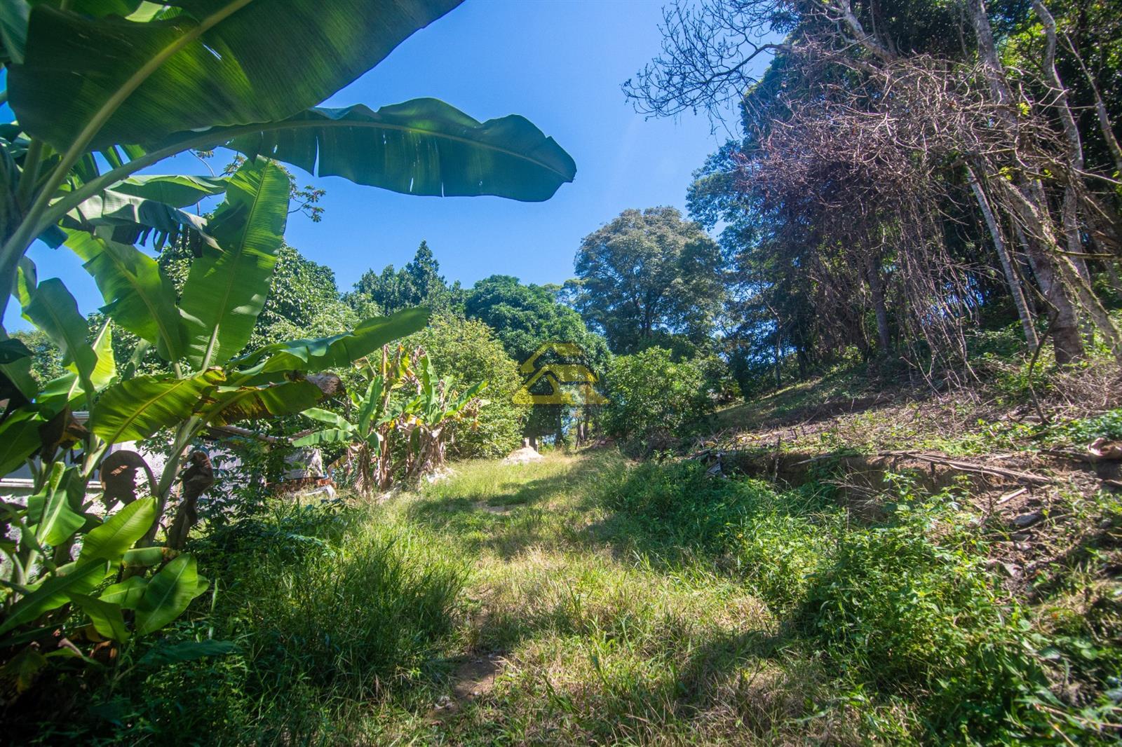 Terreno à venda, 5000m² - Foto 6