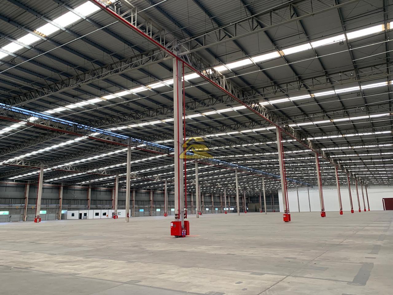 Depósito-Galpão-Armazém para alugar, 30000m² - Foto 4