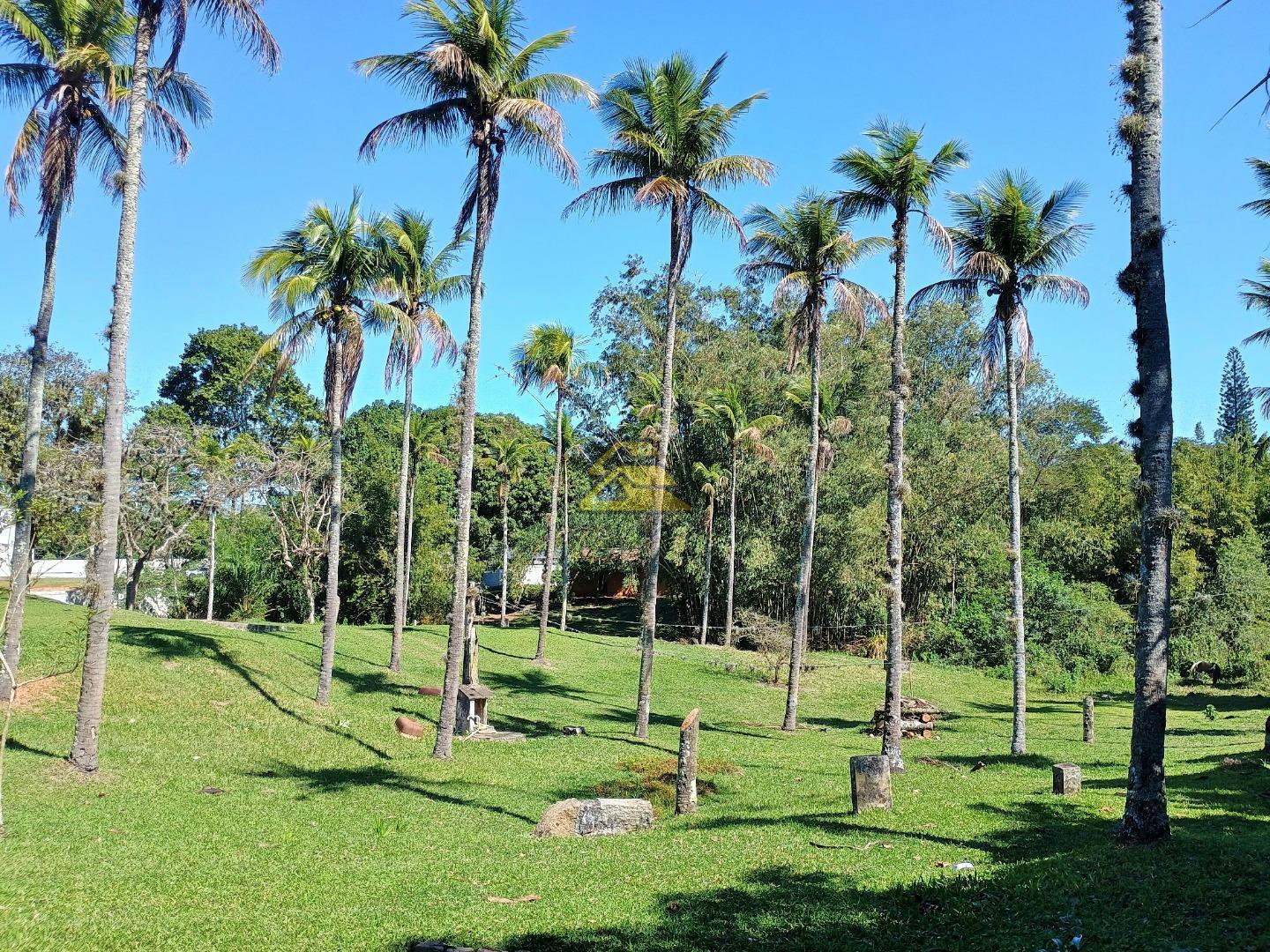 Fazenda à venda, 35000m² - Foto 14