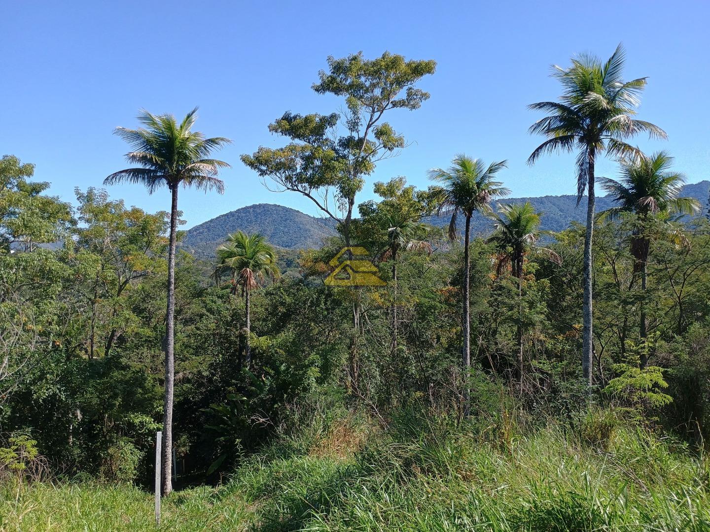 Fazenda à venda, 35000m² - Foto 21