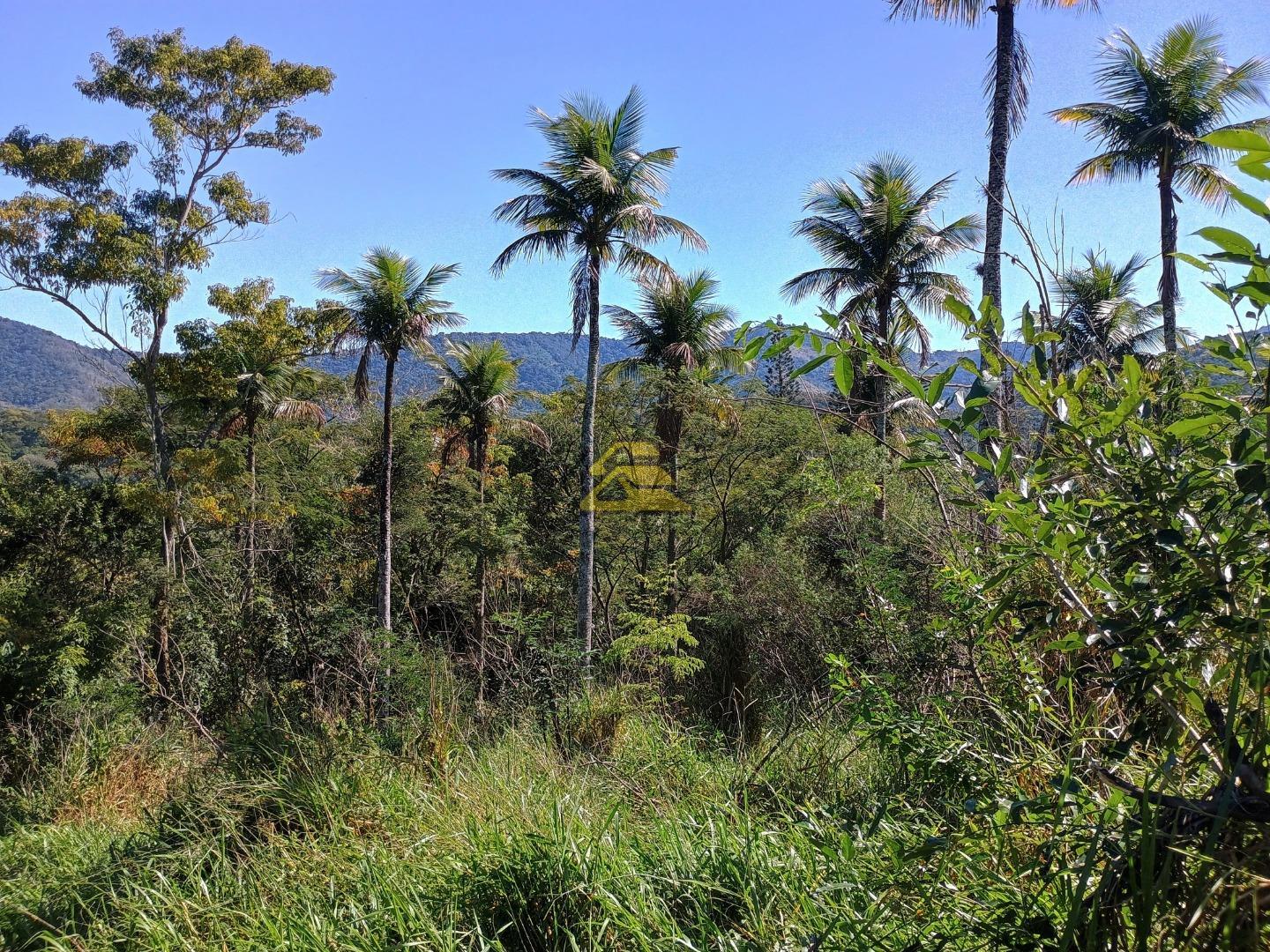 Fazenda à venda, 35000m² - Foto 22