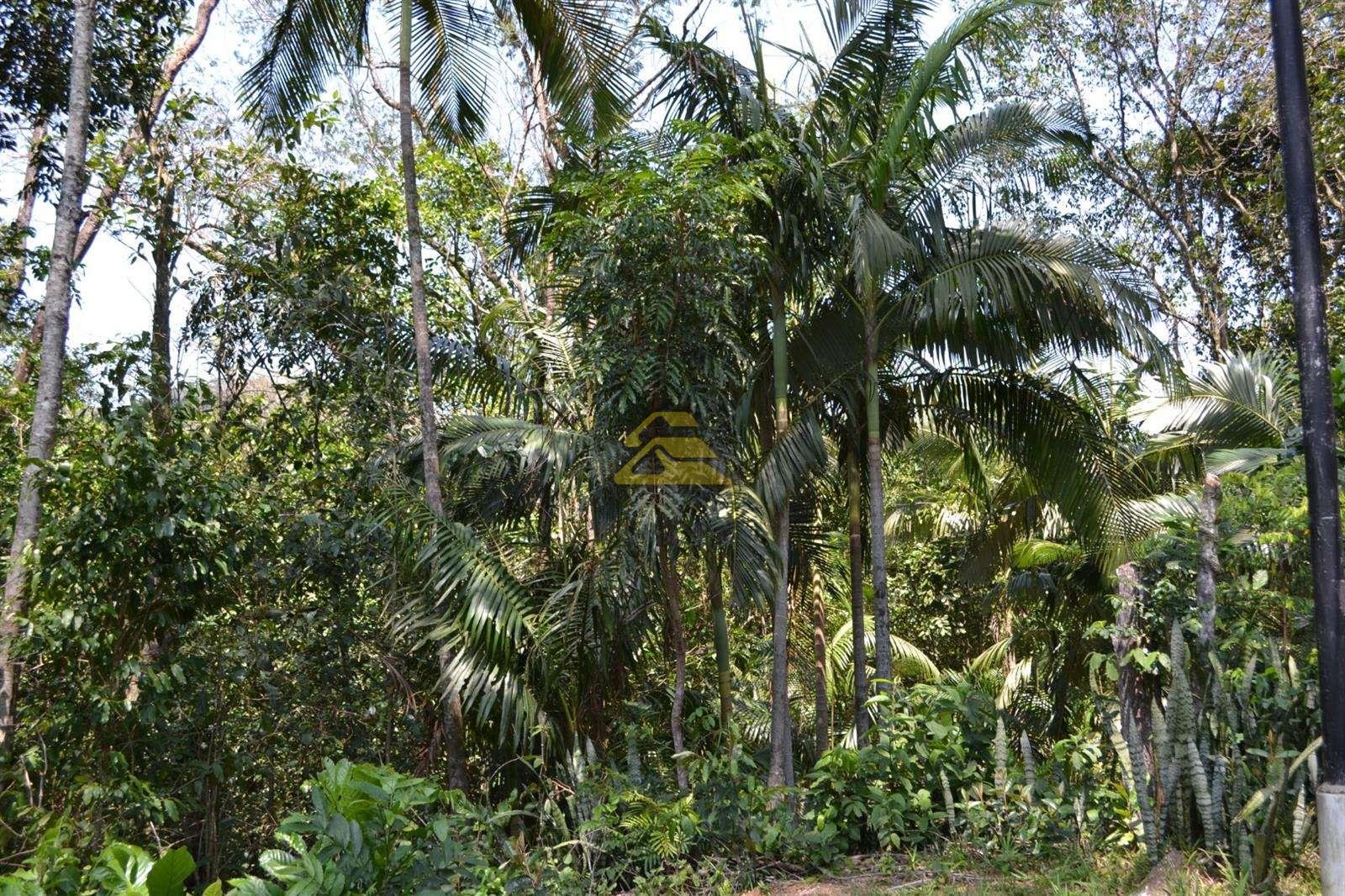 Fazenda à venda, 1000000m² - Foto 32