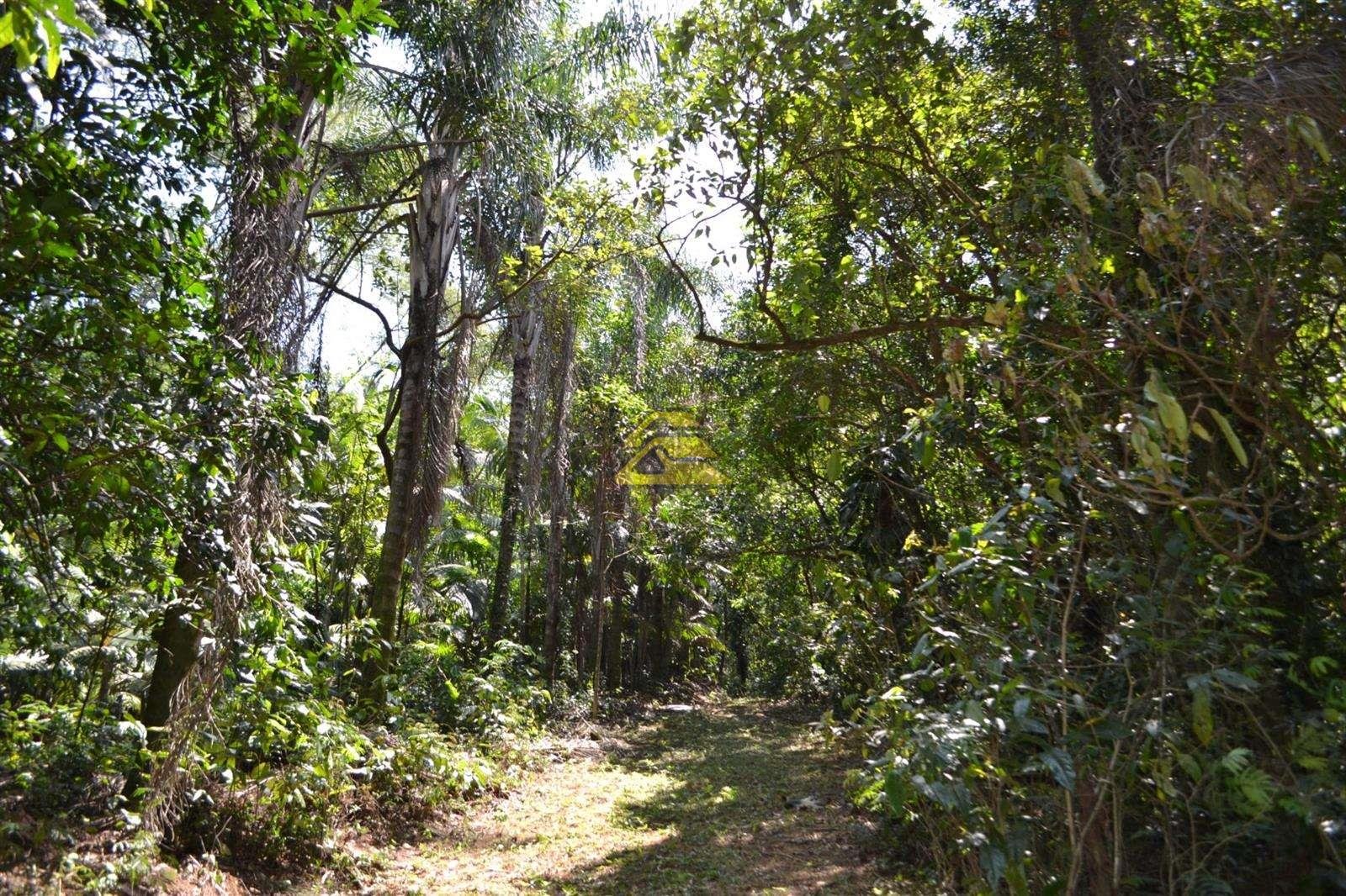 Fazenda à venda, 1000000m² - Foto 35