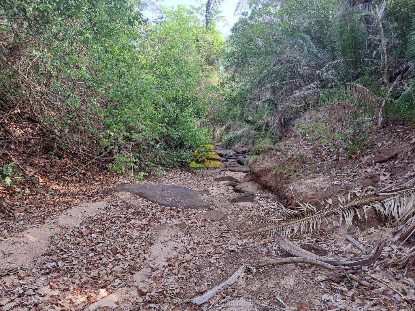 Terreno à venda, 418000m² - Foto 15