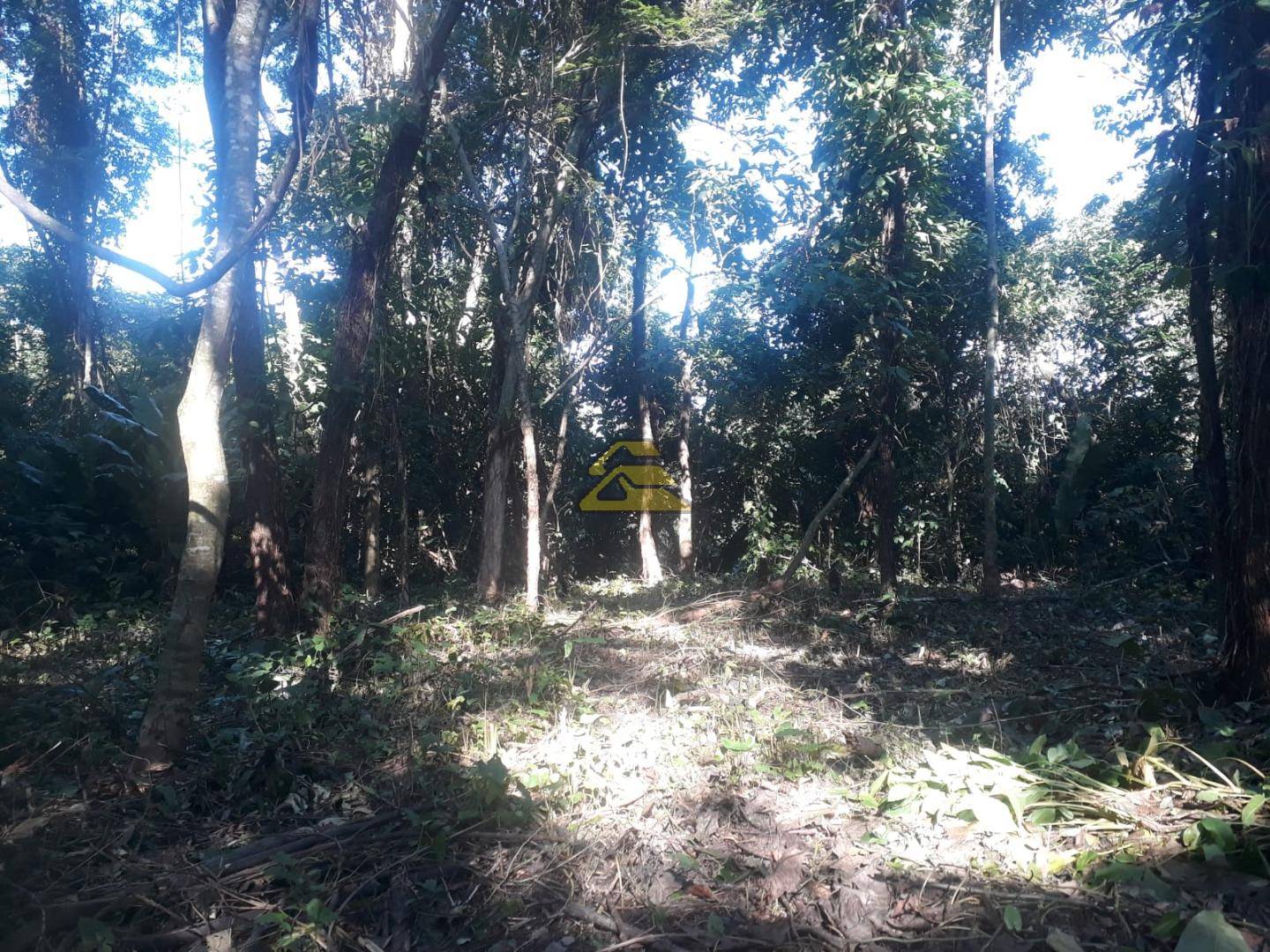 Terreno à venda, 1852m² - Foto 14