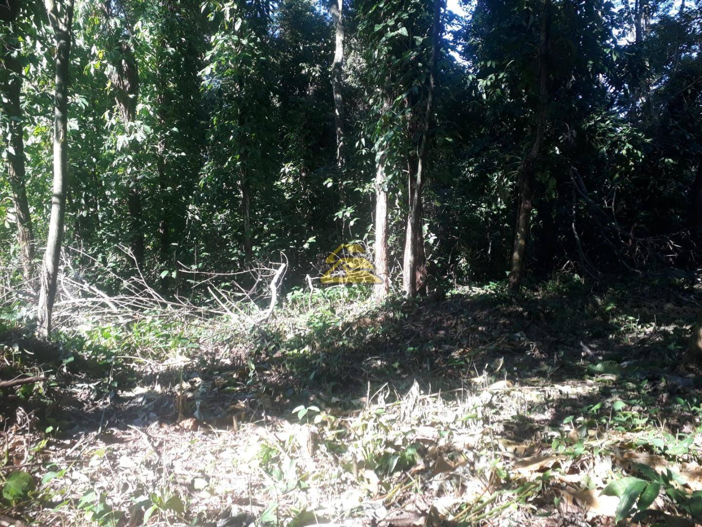 Terreno à venda, 1852m² - Foto 15