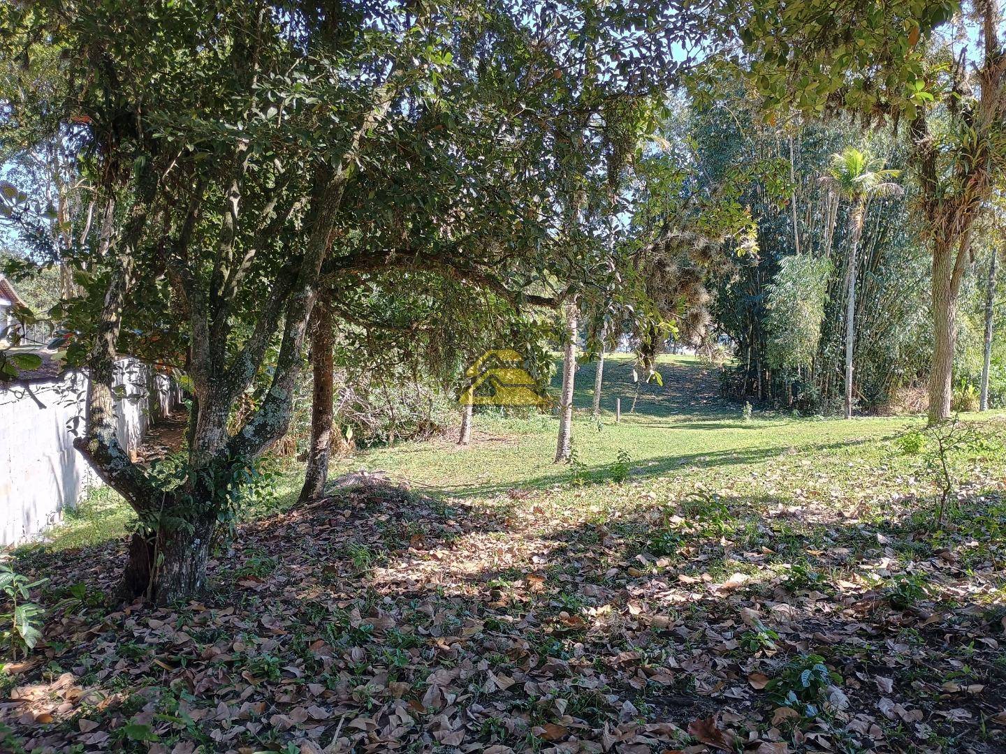 Sítio à venda, 28170m² - Foto 11