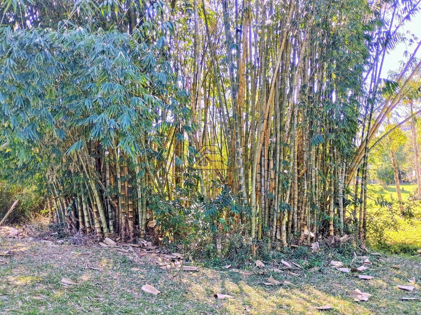 Sítio à venda, 28170m² - Foto 14