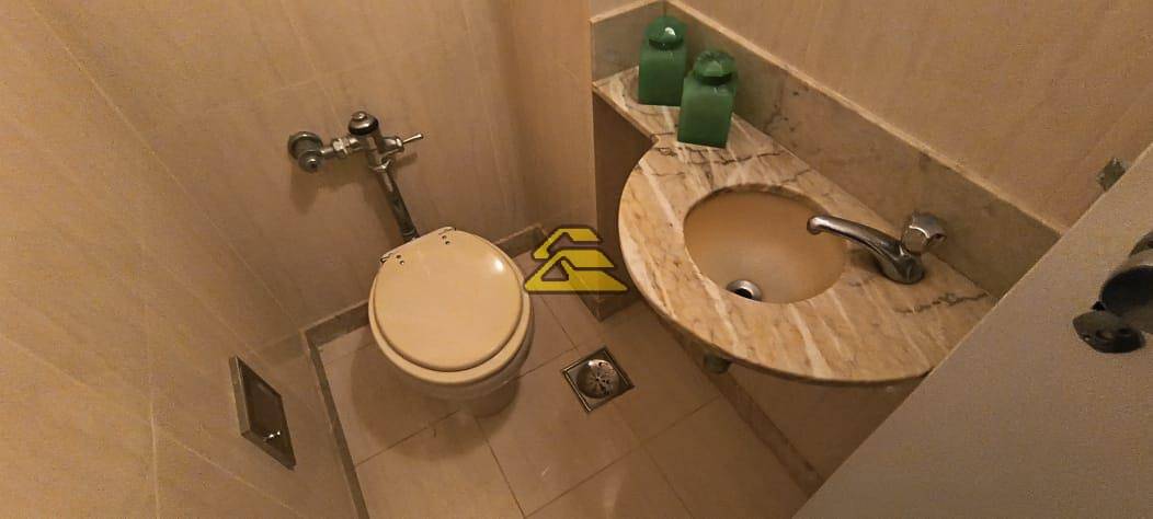 Apartamento à venda com 3 quartos, 224m² - Foto 19